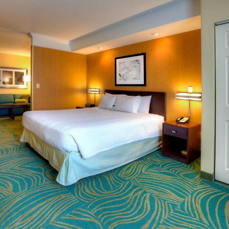 Springhill Suites By Marriott - Tampa Brandon Exterior foto