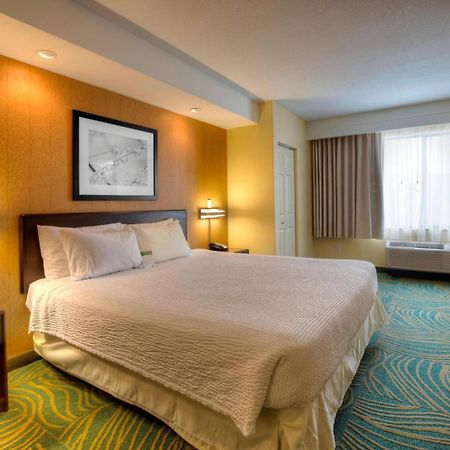 Springhill Suites By Marriott - Tampa Brandon Exterior foto